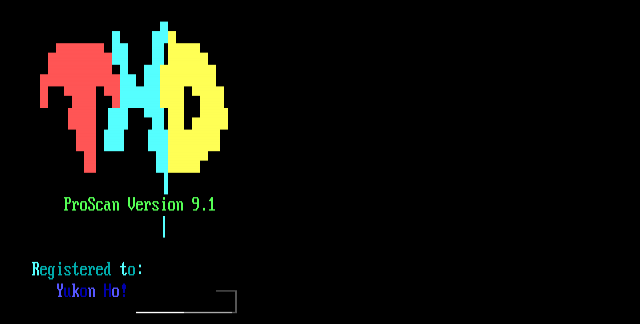 ANSI art: THDPRO.AN3